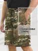 Шорты мужские ДАЧНЫЕ цв.Мультикам