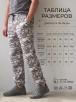 Трико мужское ТОРНАДО тк.Футер цв.BLUR 3316